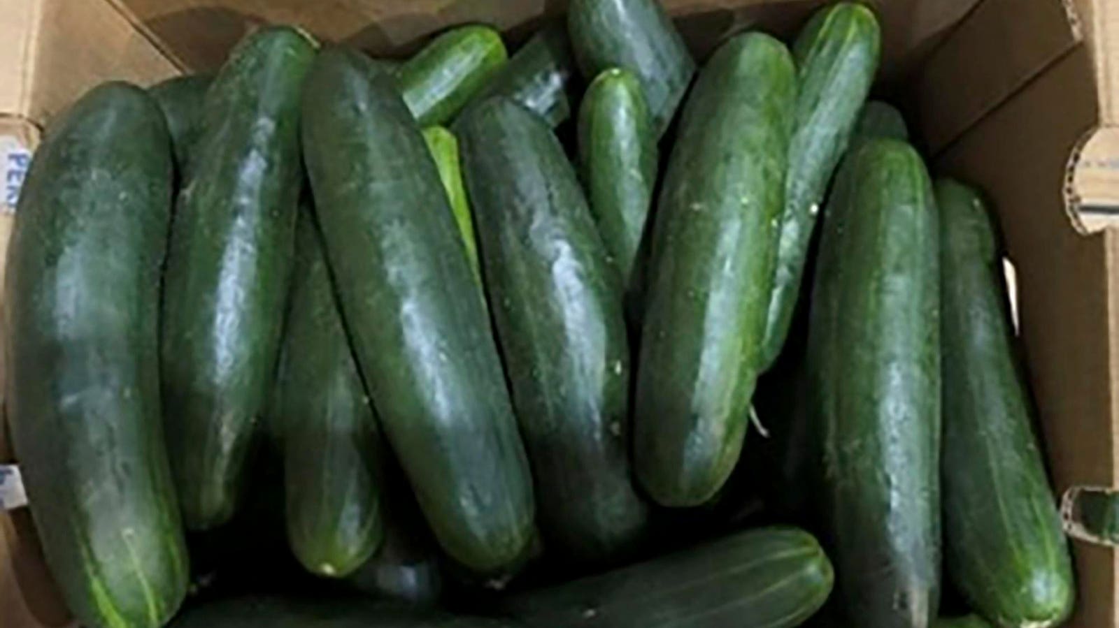 Major Cucumber Recall Expands To 35 States Over Salmonella Concerns—68 Illnesses Reported So Far