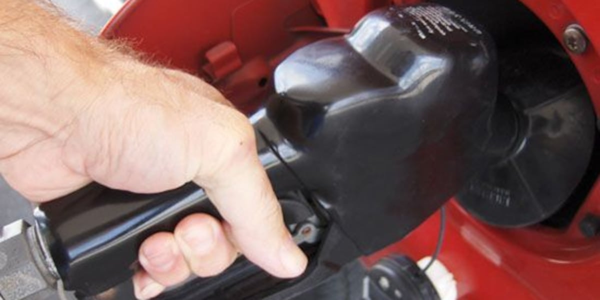 Downward gas price trends halt, reverse in SC right before holidays