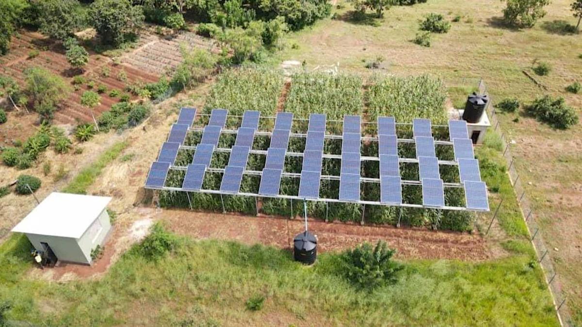 New study shows incredible results of pairing solar panels with agriculture: 'We were able to get more from the land'