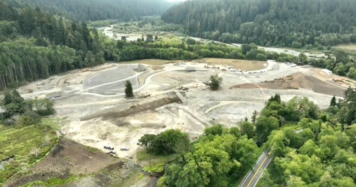 More than a century after their land was ravaged by the California gold rush, Yurok tribe to reclaim land near Redwood National and State Parks