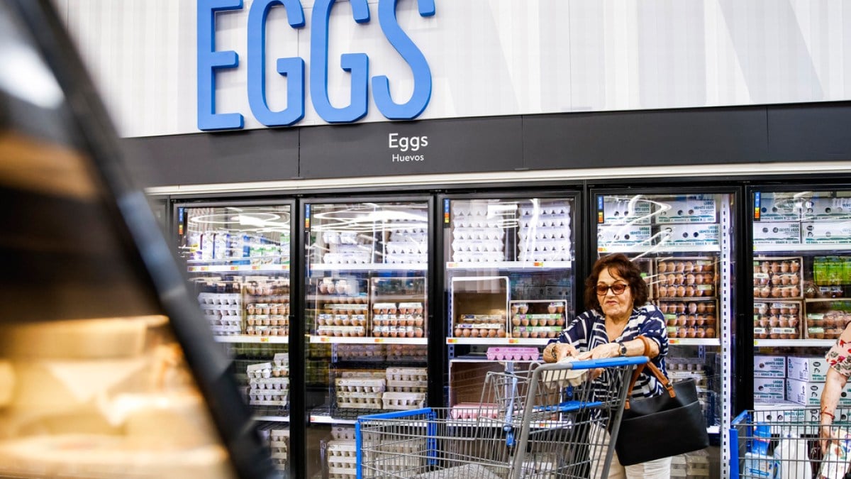 Egg prices tick up in US amid efforts to halt spread of bird flu