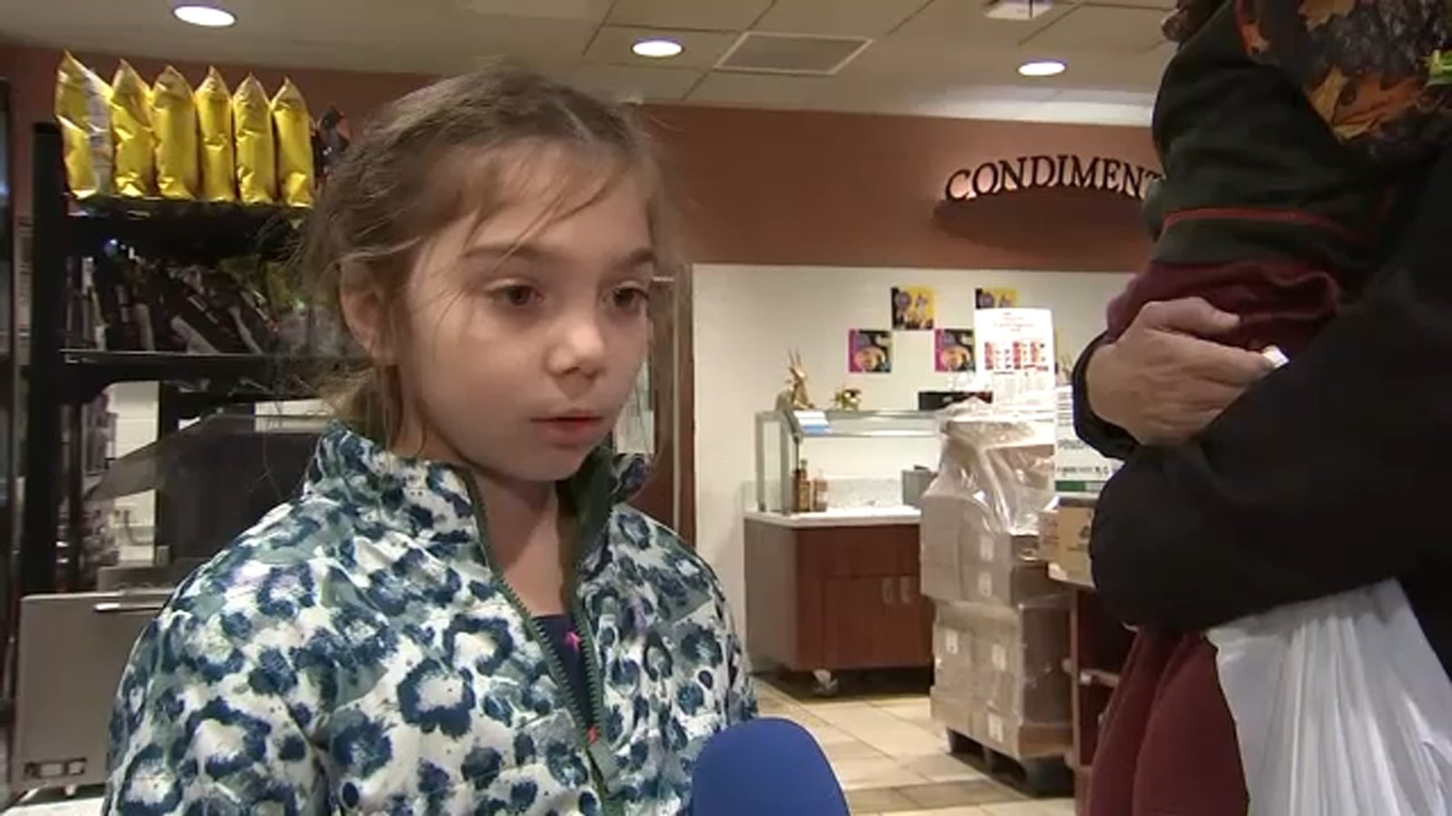 2nd grader recounts deadly Madison, Wisconsin school shooting: 'Everyone was panicking'