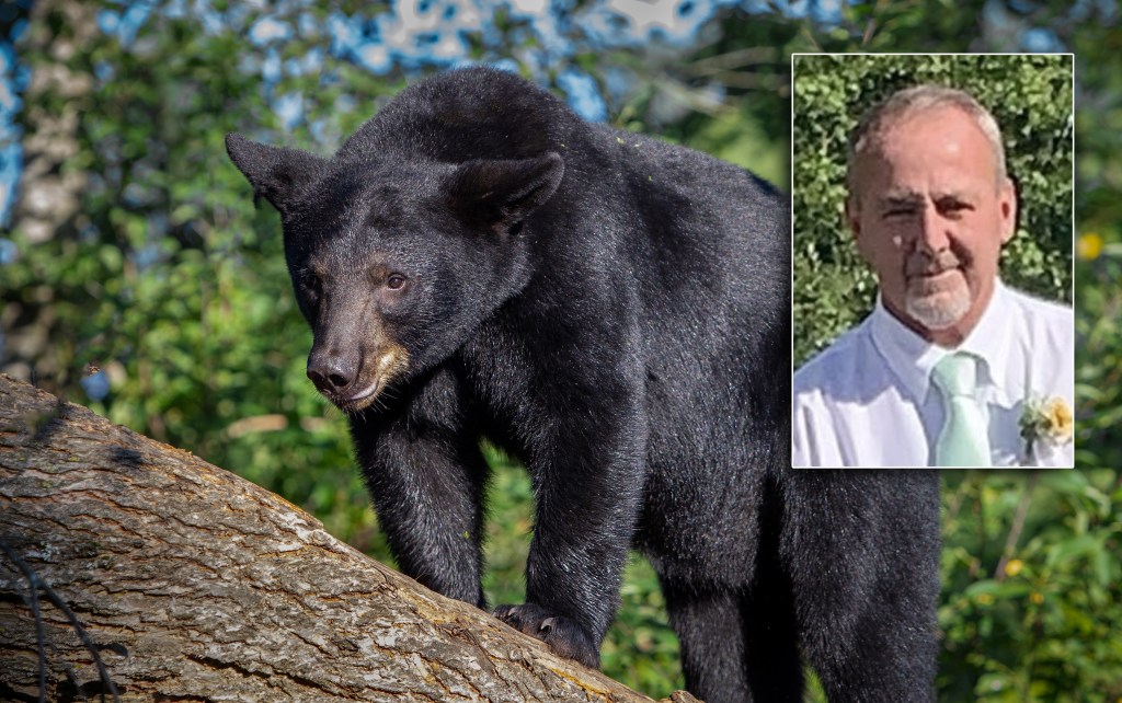 Virginia hunter killed by bear falling out of tree