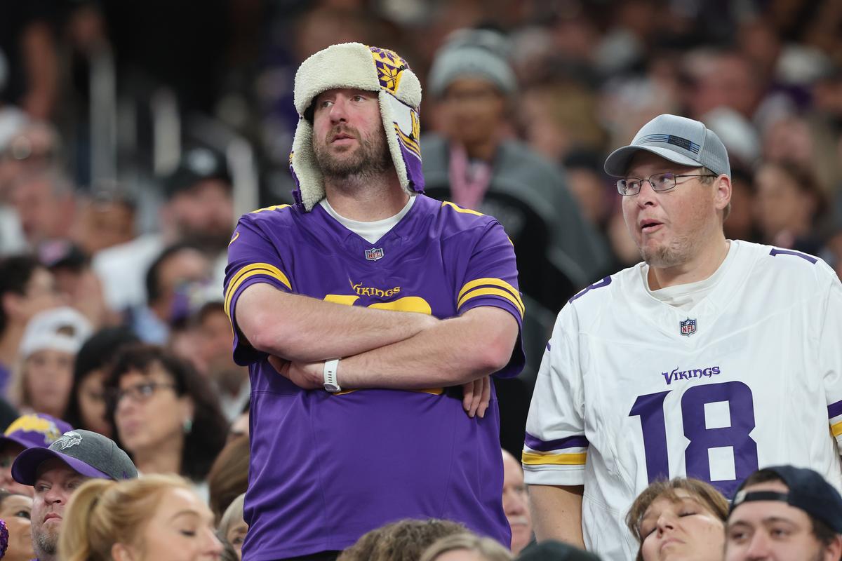 Minnesota Vikings Fans: Excited or Skeptical? (Yes!)