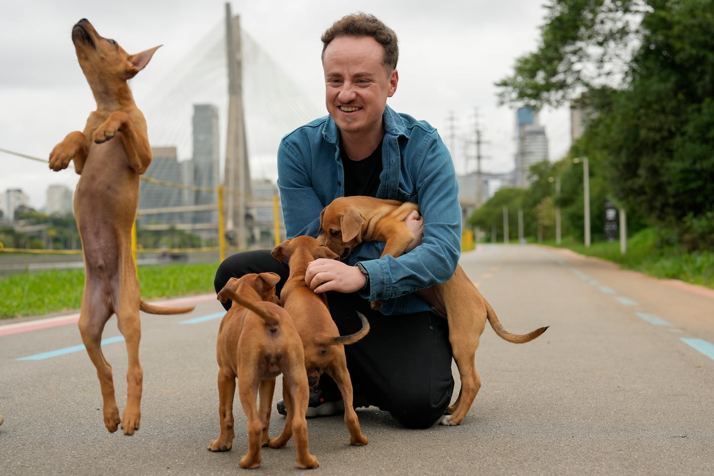 Forget soccer and samba. This caramel-colored street dog is Brazil’s new national icon.