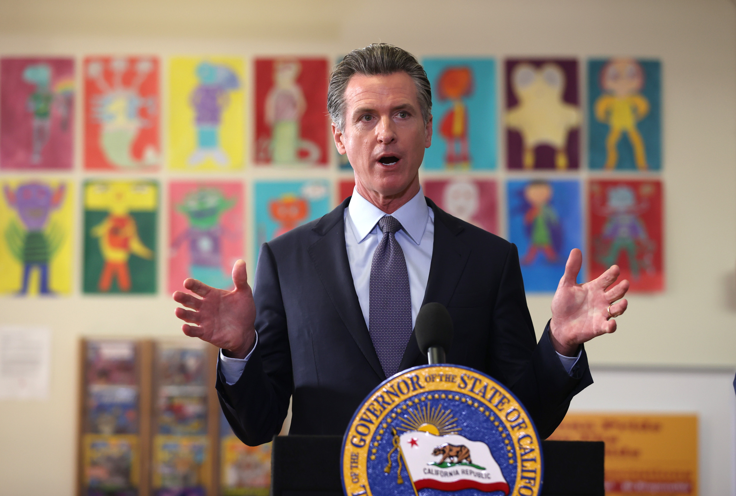 California Governor Gavin Newsom Declares State of Emergency Over Bird Flu