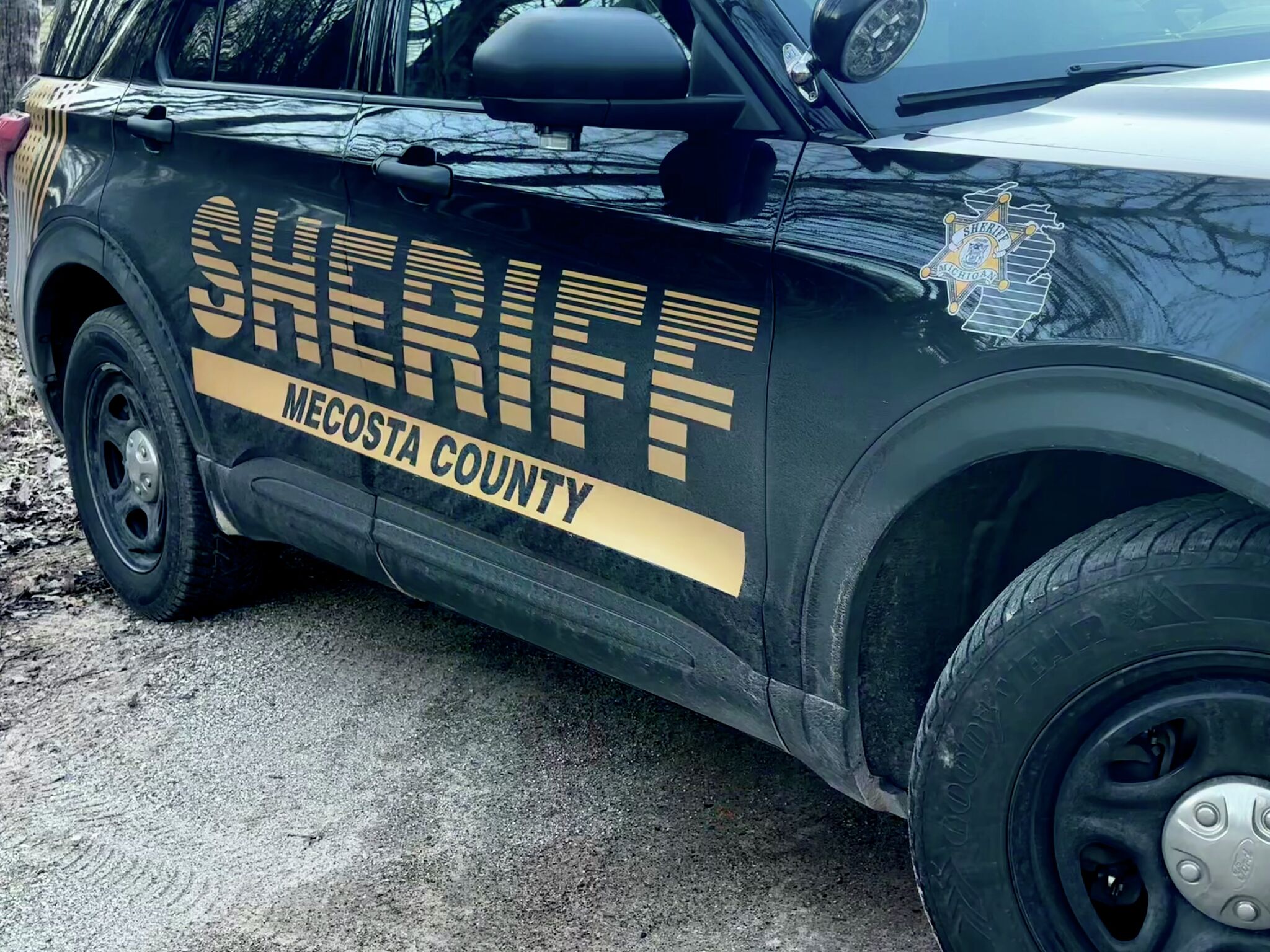 Mecosta County Sheriff's Report for November 2024