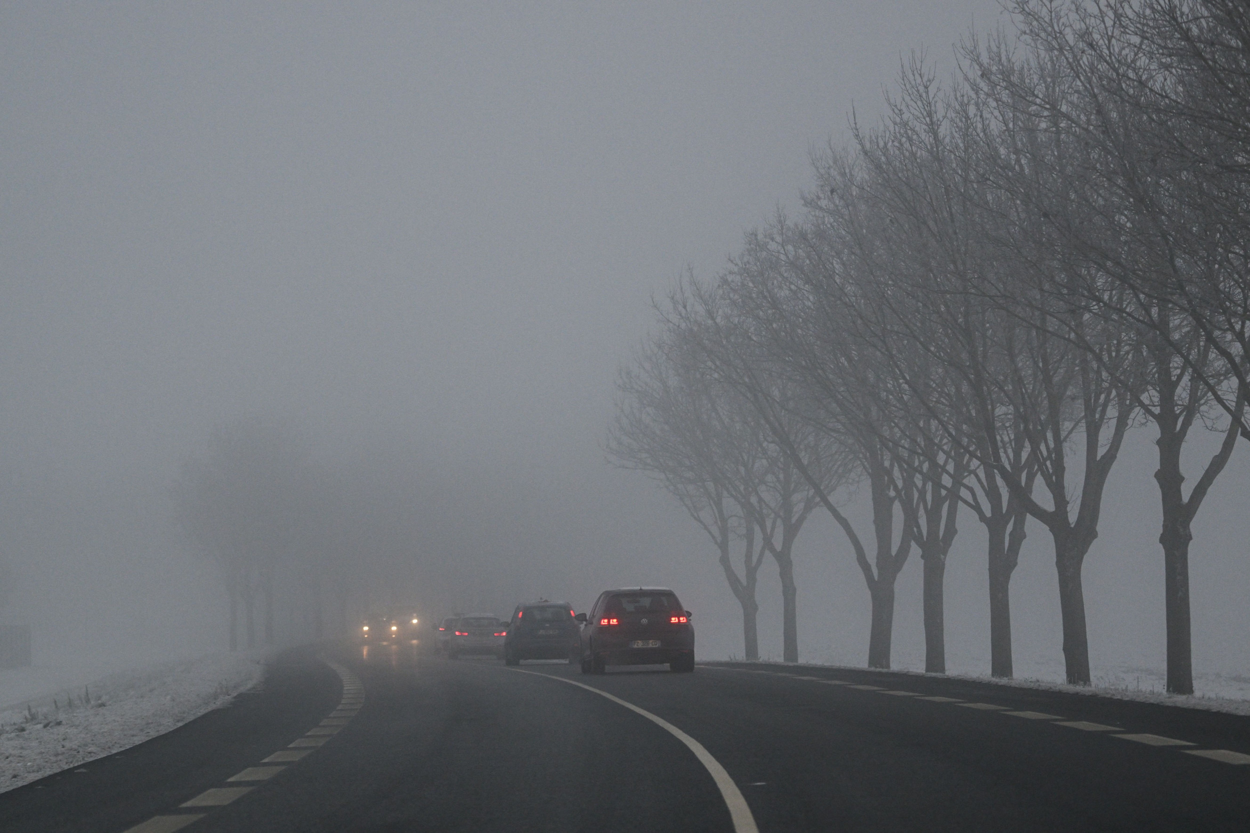 Florida Completely Shrouded in Fog