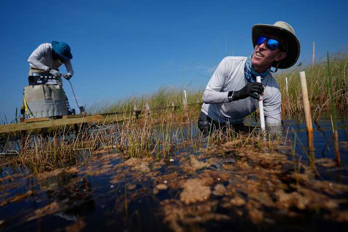 In Florida, a race is on to save the Everglades and protect a key source of drinking water