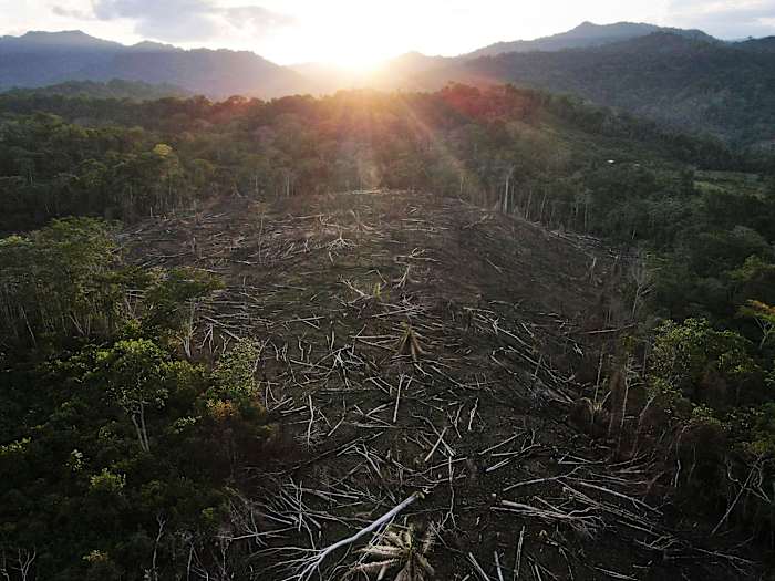 Amazon Indigenous community wins latest stage of court battle for lost territory