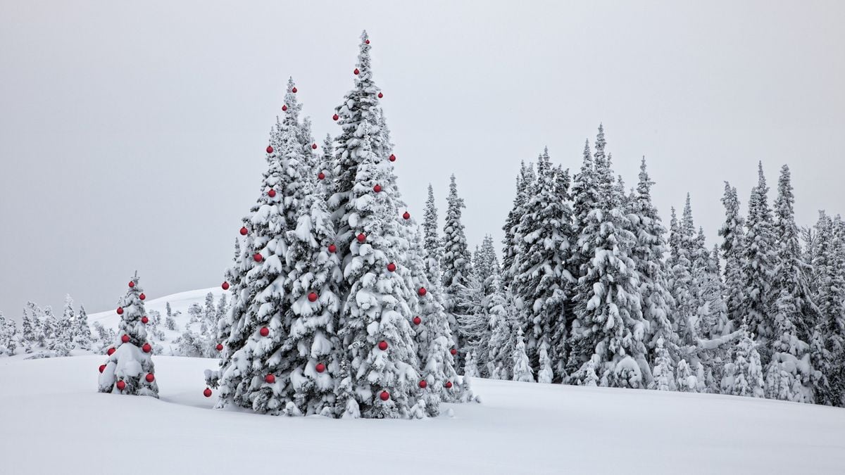 Dreaming of a white Christmas? Snow is likely in these US states according to NOAA climate data