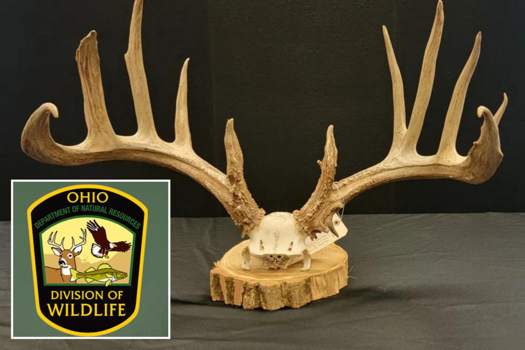 Ohio poacher slapped with record-breaking $43K fine after killing ‘valuable’ trophy deer