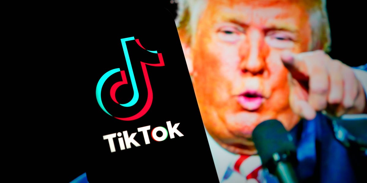 Can Trump save TikTok? Here's where his cabinet picks stand on a TikTok ban.