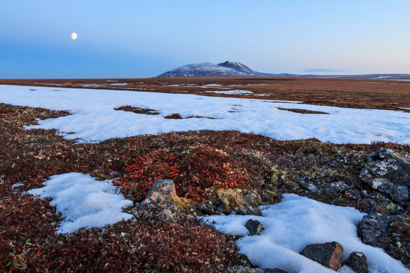 Arctic tundra is now a source – not a sink – of carbon emissions