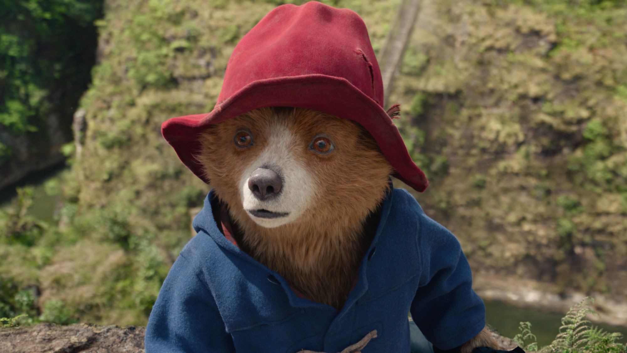 Paddington In Peru US Release Has Been Delayed To February