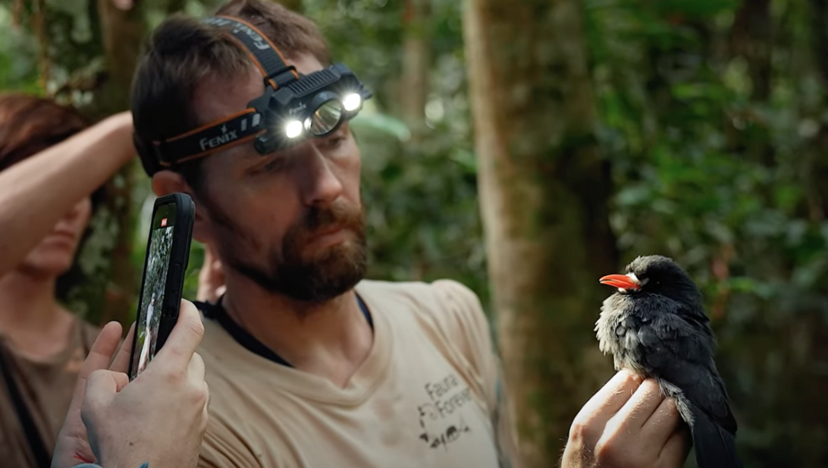 Bird Banding in the Peruvian Amazon: New YouTube Docuseries