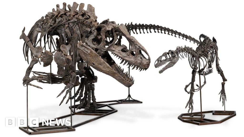 Dinosaur skeletons fetch £12.4m at auction