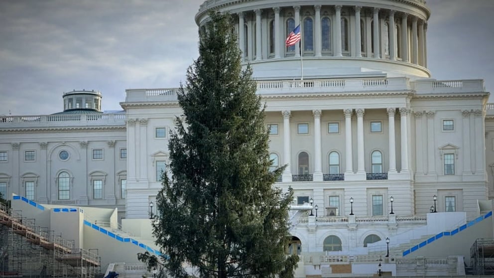 WATCH: Special delivery to spread holiday cheer, the 'People’s Tree'!