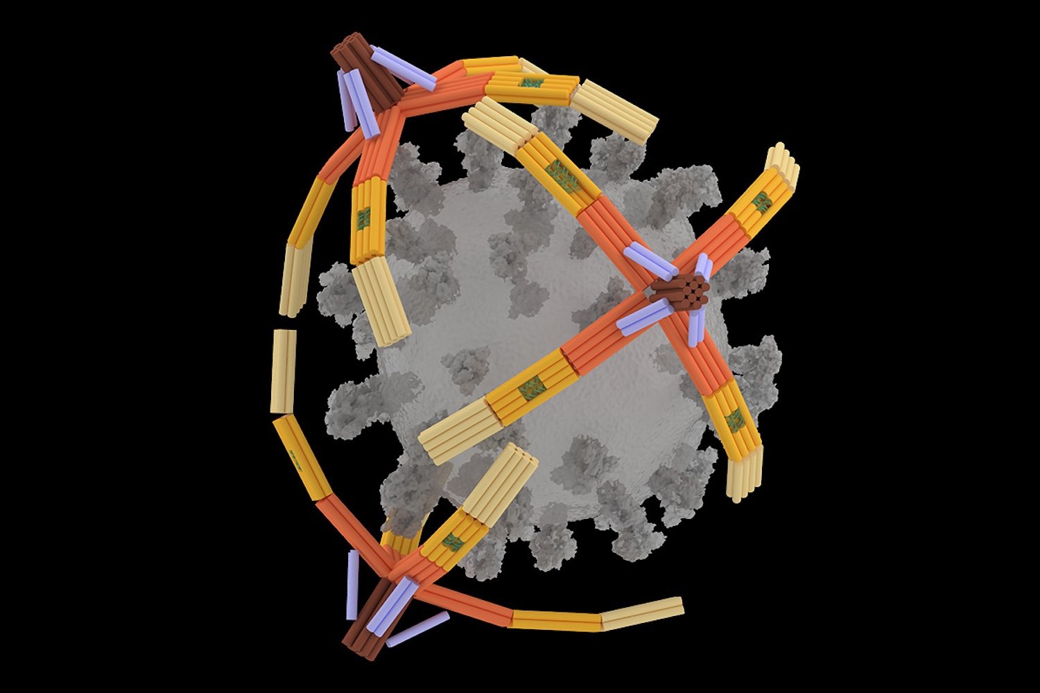 Scientists Built a Tiny DNA ‘Hand’ That Grabs Viruses to Stop Infections