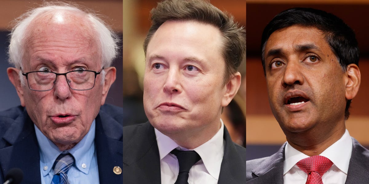 The Democrats who aren't writing off Elon Musk's DOGE