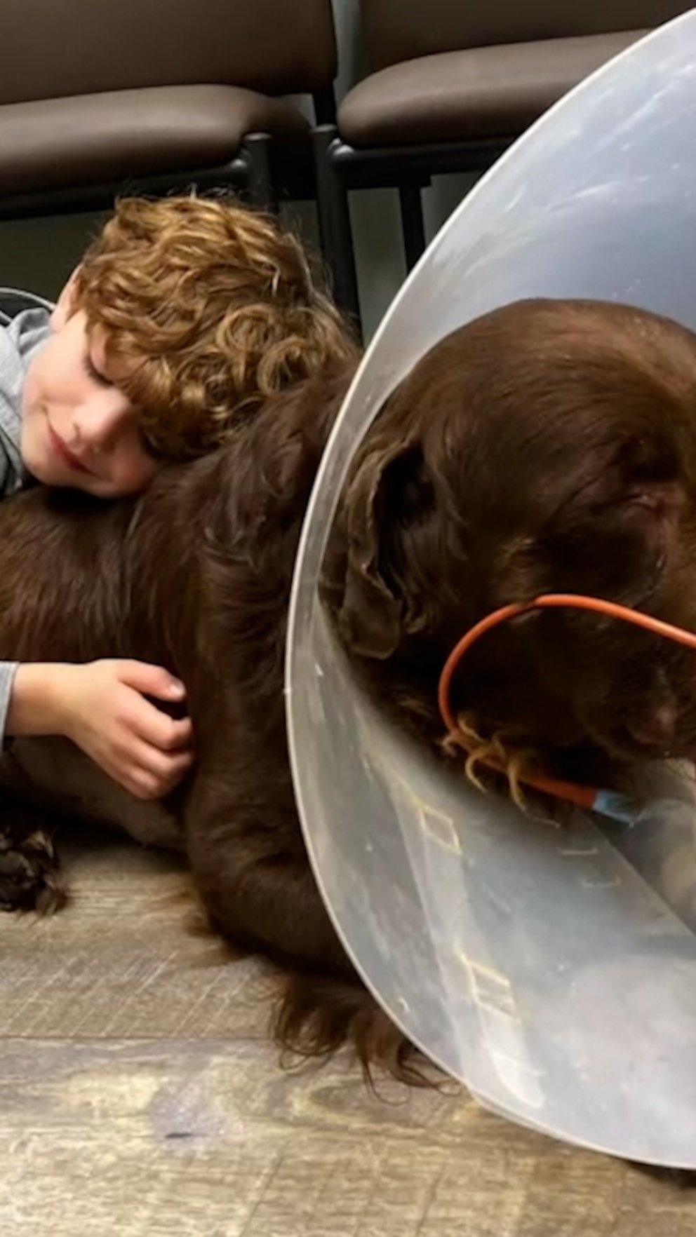 WATCH: 8-year-old Michigan boy opens 7th lemonade stand for shelter dogs