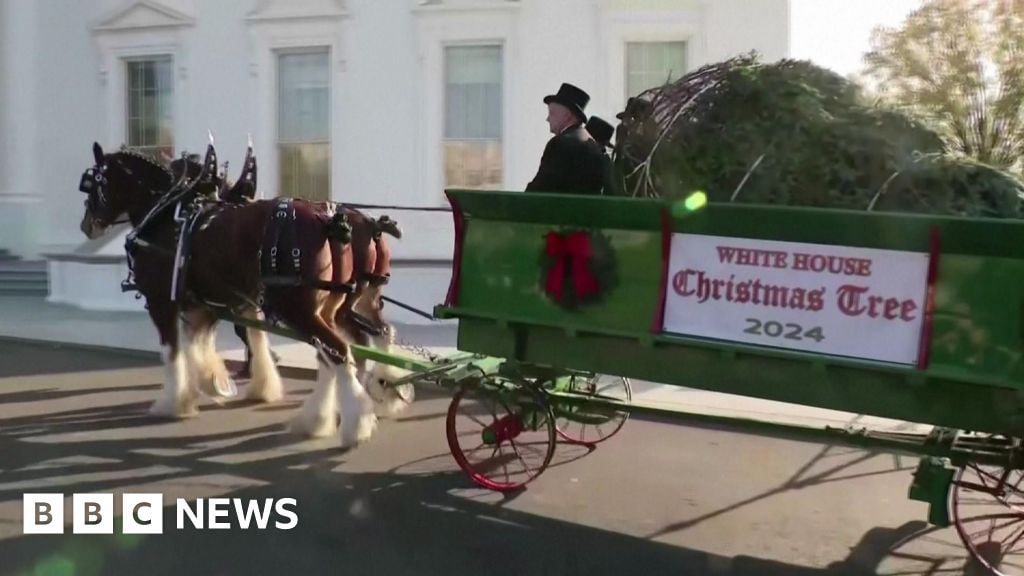 First Lady receives White House Christmas tree