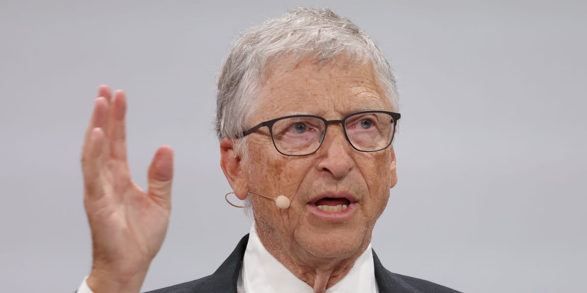 Bill Gates says 2024 was a big step for climate tech like green steel, and now is the time for VC to snag 'garage' innovators