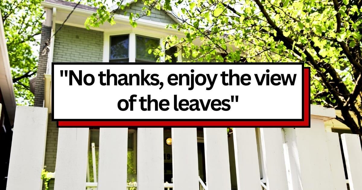 Neighbors demand resident cut down their trees because they 'block the view to other people's houses', resident purposely outgrows the trees as a response: 'Enjoy the view'