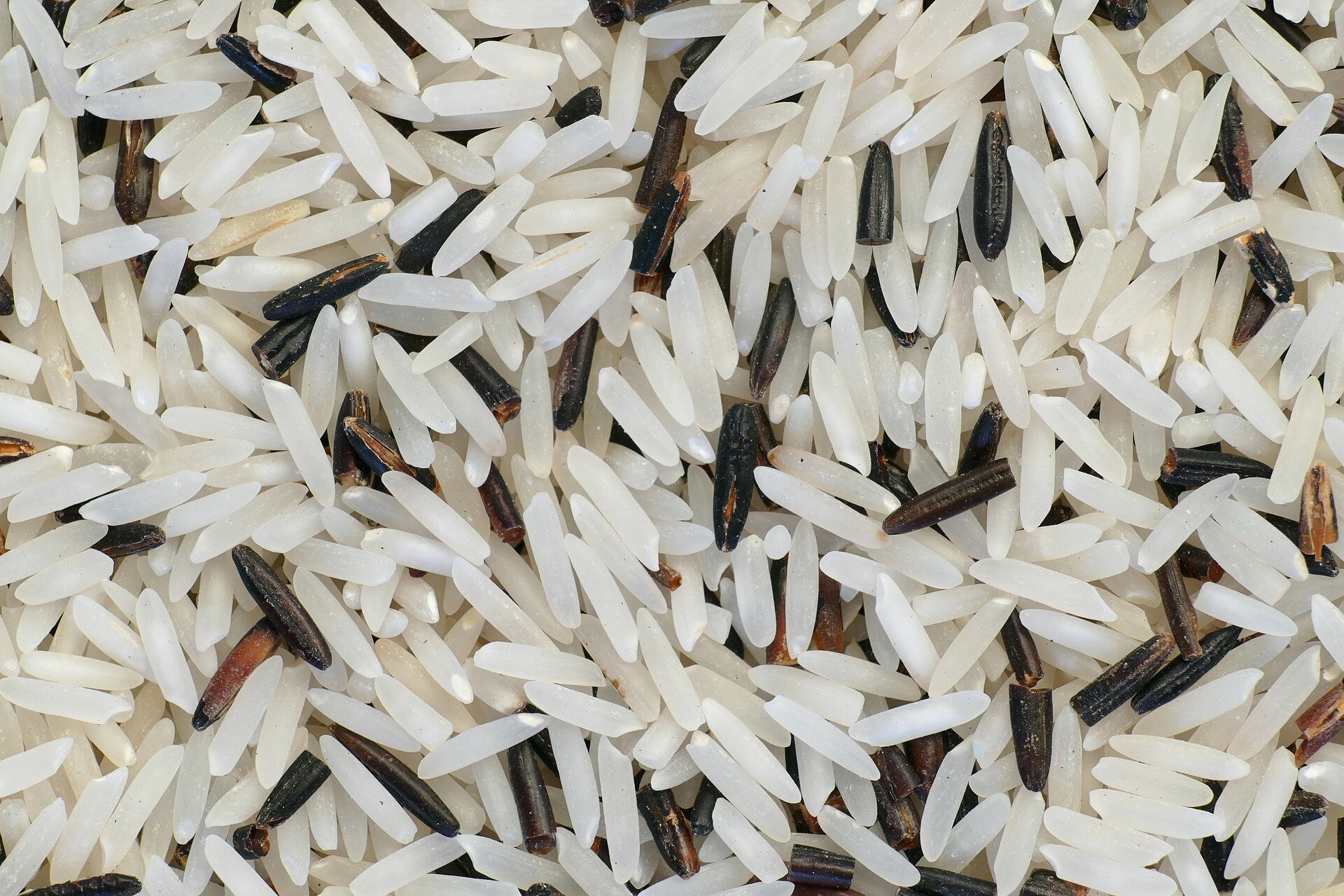 EPA investigating taconite mine for pollution that threatens wild rice