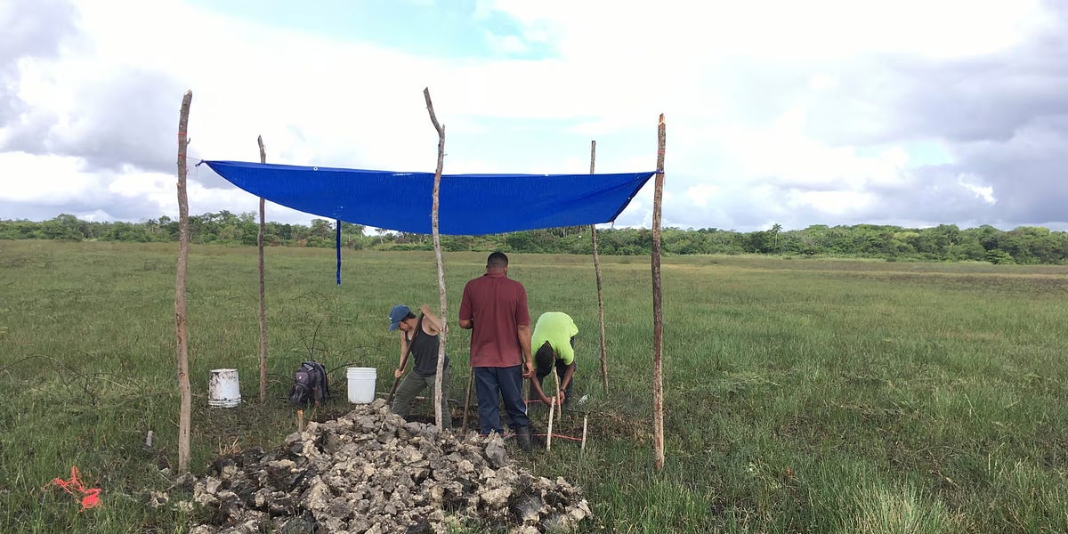 Ancient Maya Aquaculture: How Fish Farming Powered a Civilization