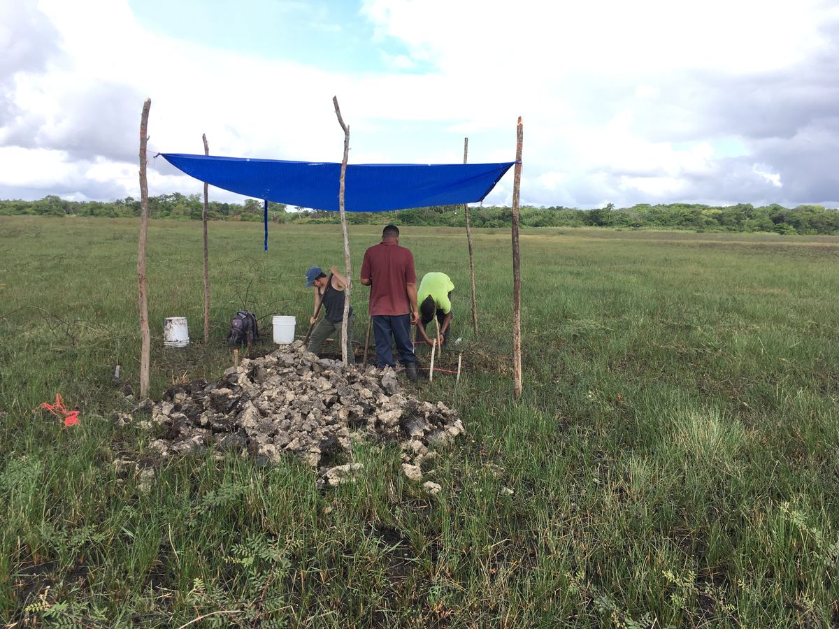 Archaeologists Discover Ancient Canals Used to Trap Fish in Belize 4,000 Years Ago