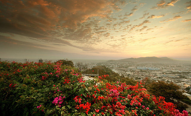 Copa: San Francisco – Guayaquil, Ecuador. $341 (Basic Economy) / $461 (Regular Economy). Roundtrip, including all Taxes