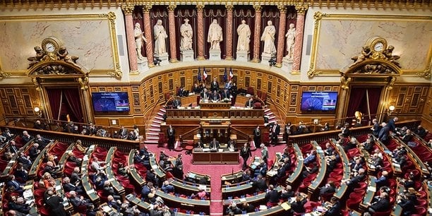 Le Sénat revoit à la baisse la taxe sur les billets d'avion