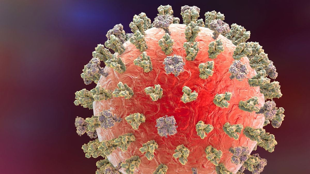 Person in Louisiana hospitalized with H5N1 in nation's 1st severe case