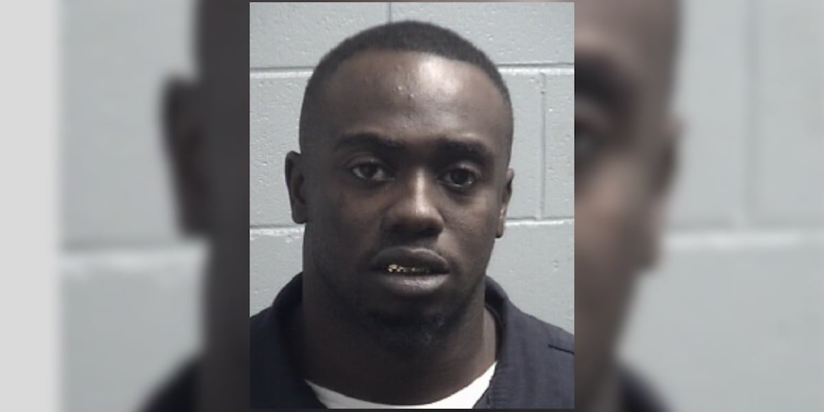 SLED accuses man of running Orangeburg County chop shop, possessing stolen Ford trucks