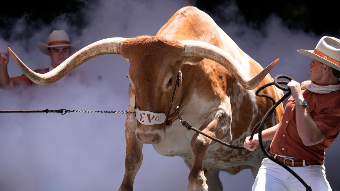 Chick-fil-A Peach Bowl bans Texas Longhorns' Bevo from stadium sidelines