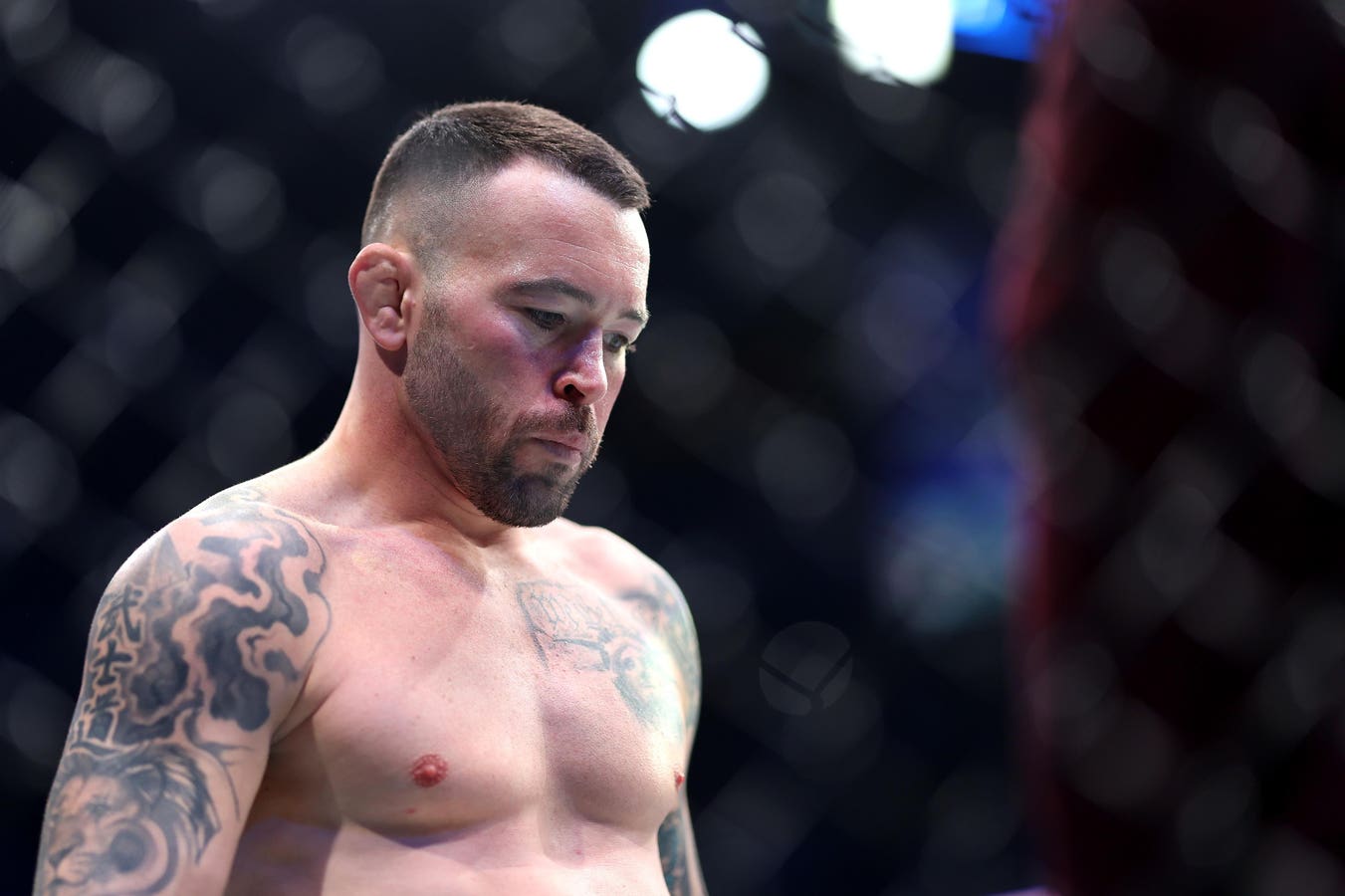 UFC Tampa Fight Card: Opening Betting Odds For Covington Vs. Buckley