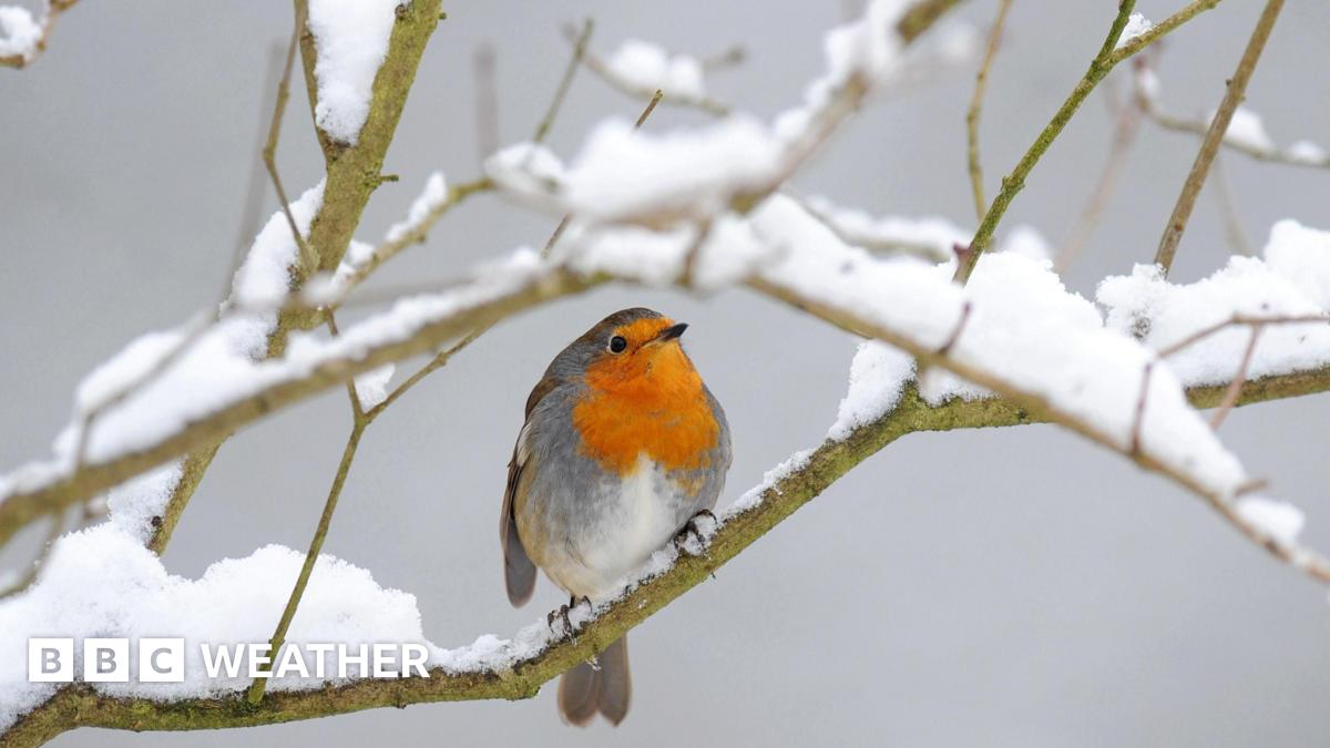 UK snow: Five things you might not know