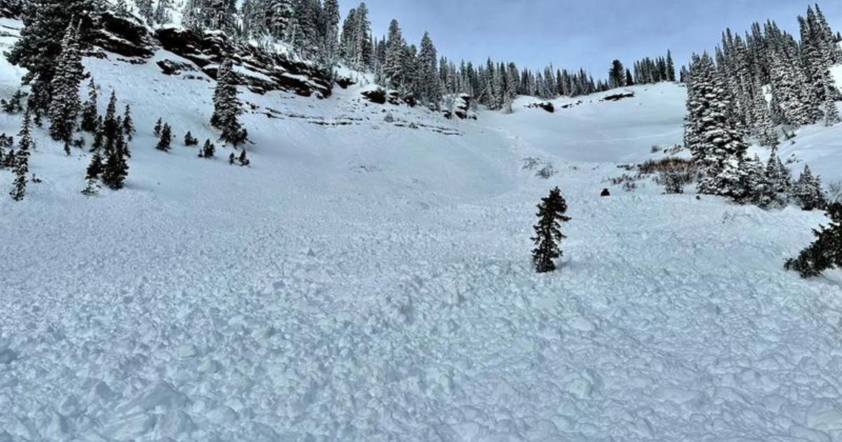 Utah man accidentally causes avalanche, rescues trapped brother after spotting "couple of fingers" sticking out of snow