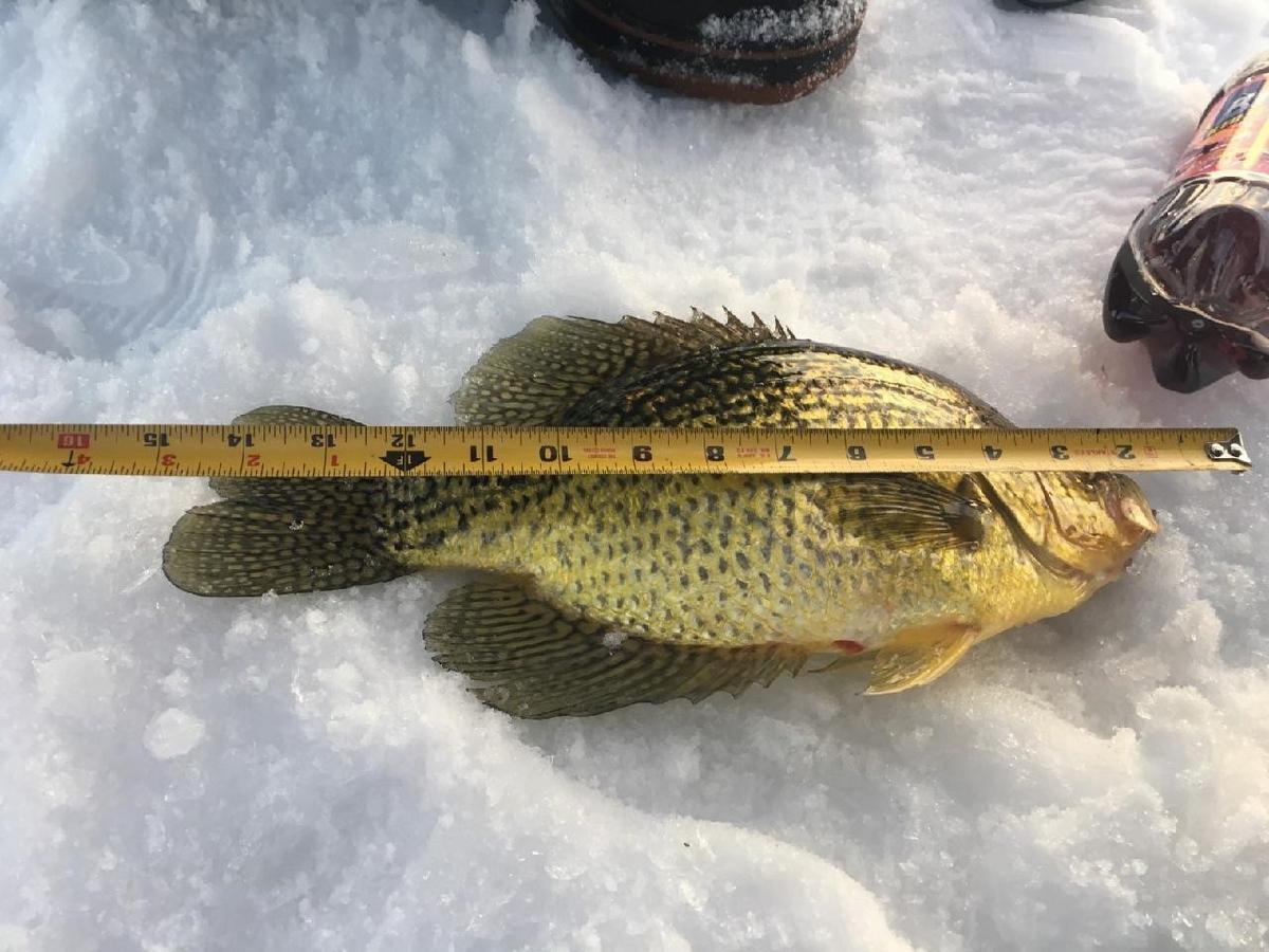 How Rain, Warmer Weather Will Affect Ice Fishing in MN