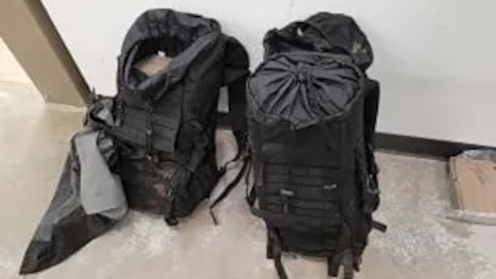 Backpacks containing $1.1 million of cocaine discovered in the wilderness near Canada