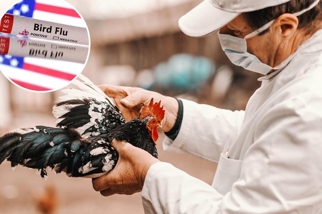 Bird flu is a growing threat to pets