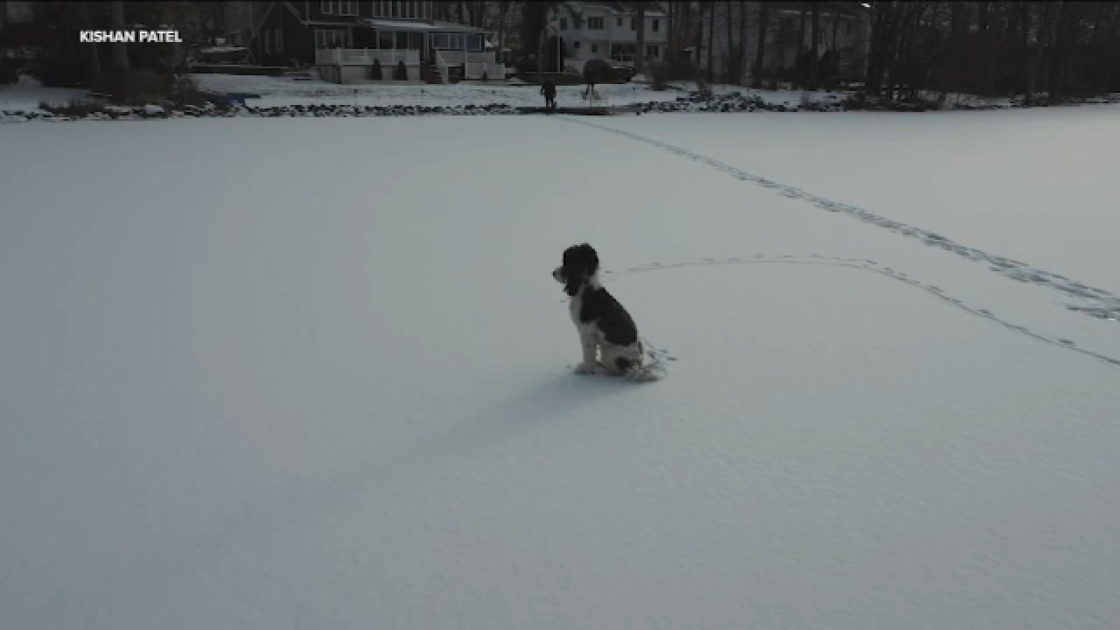 Puppy stuck on frozen New Jersey lake for hours brought home safely with help of drone