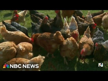 CDC Confirms First Case Of Severe Bird Flu In Louisiana