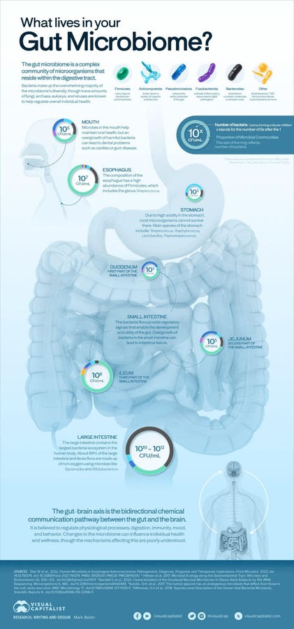 Your Friends Might Be Influencing Your Gut Microbiome: Study