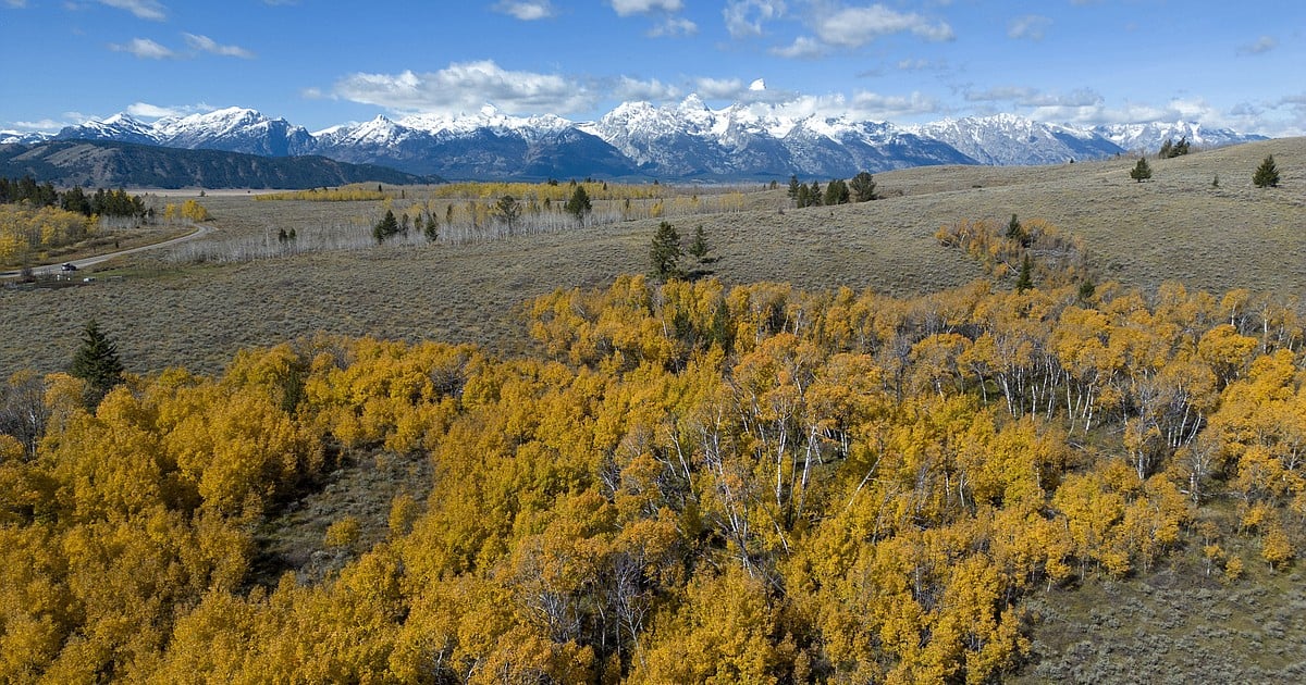 Wyoming governor approves $100 million sale of state land to join Grand Teton National Park