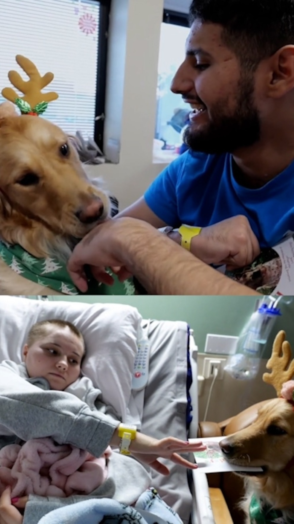 WATCH: Adorable golden retriever therapy dog brings holiday cheer to Houston hospital