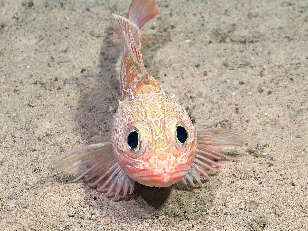 The Ten Most Awe-Inspiring Ocean Moments of 2024