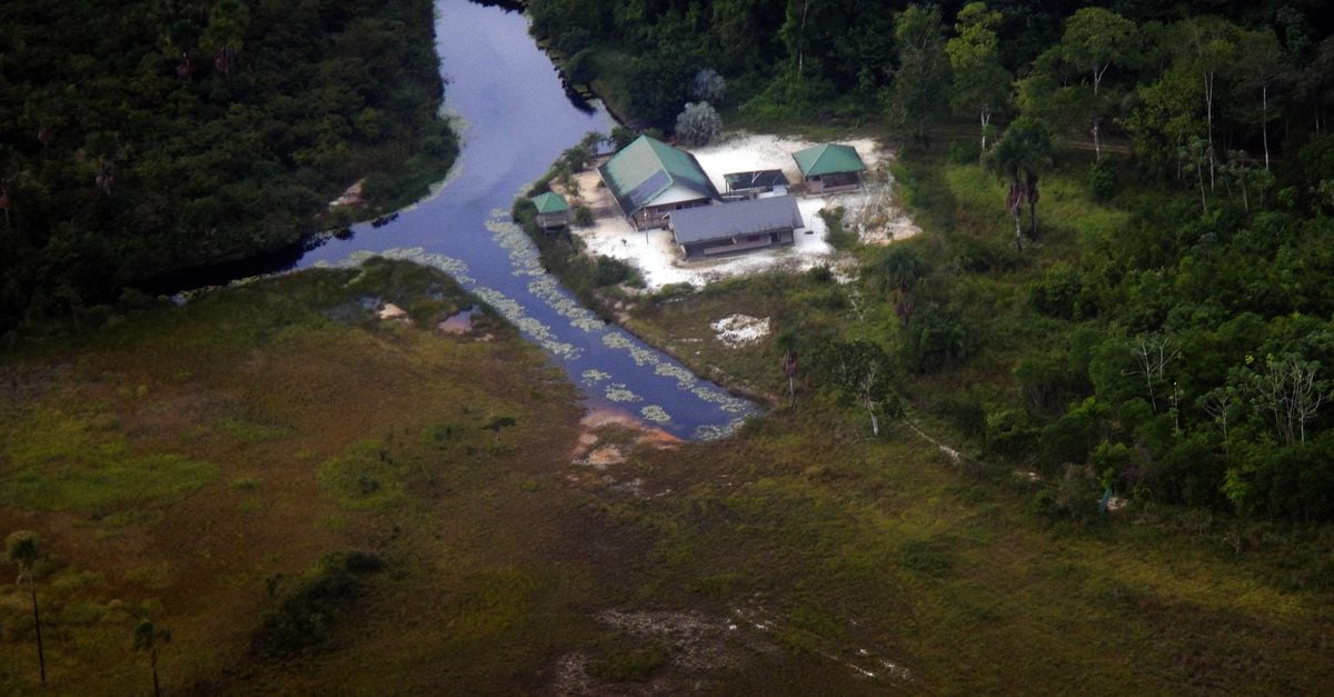 ‘Bouterse verbleef mogelijk in de Surinaamse jungle’