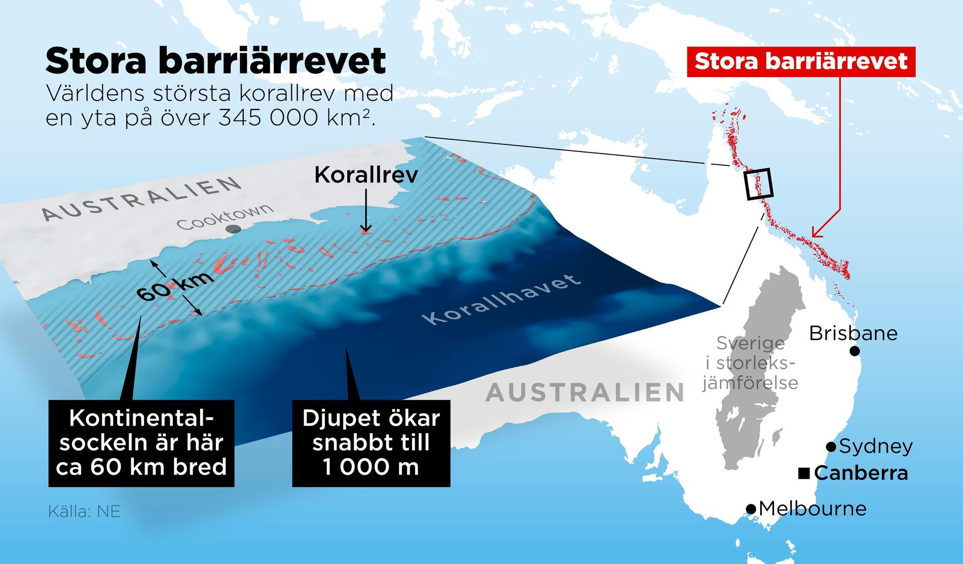 Nya rön: Så bildades Stora barriärrevet